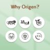 Why Origen